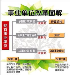 事业单位改革背景下乡镇农业技术推广站的转型路径与优化方向
