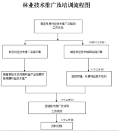 创新林业技术推广培训，助力林业现代化发展